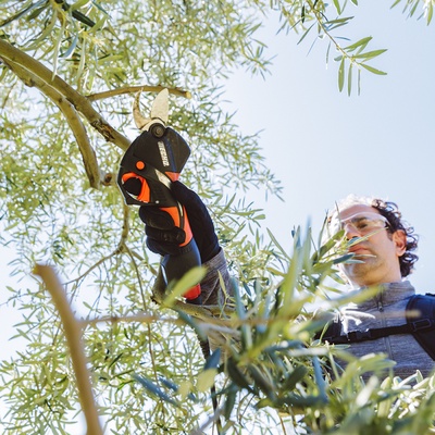 Tijera Poda Bateria Echo Dps 350